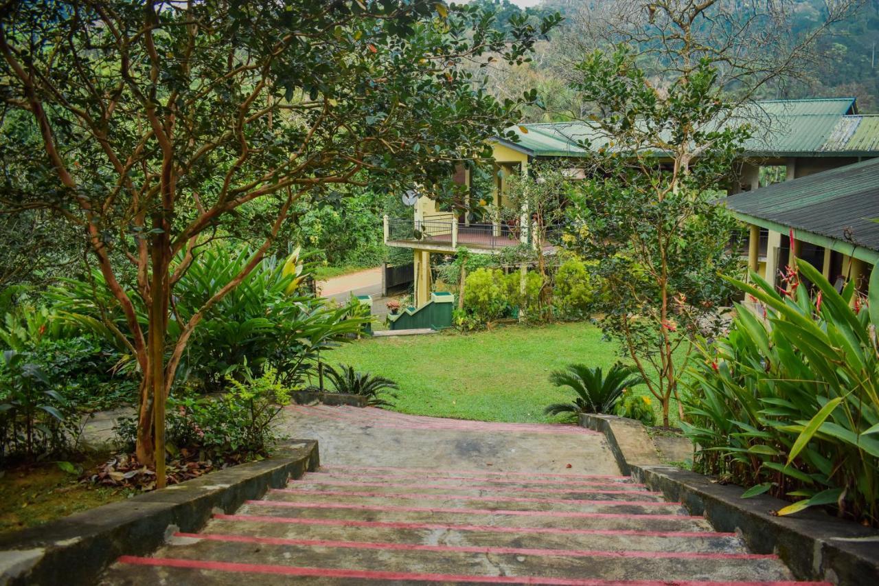 Blue Magpie Lodge Sinharaja Kudawe Екстер'єр фото