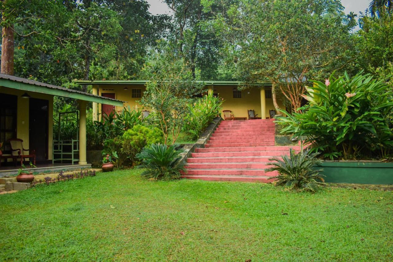 Blue Magpie Lodge Sinharaja Kudawe Екстер'єр фото