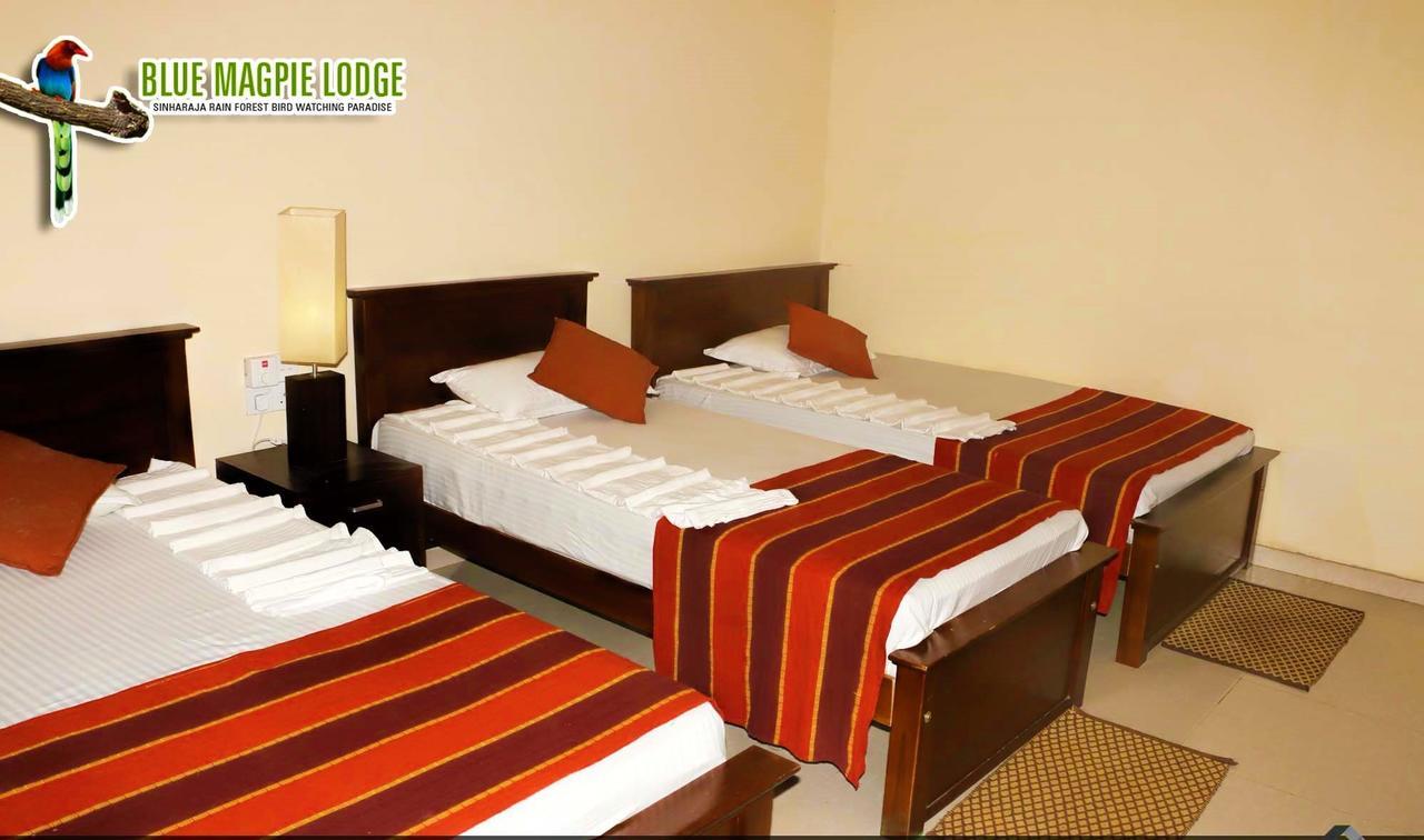 Blue Magpie Lodge Sinharaja Kudawe Екстер'єр фото
